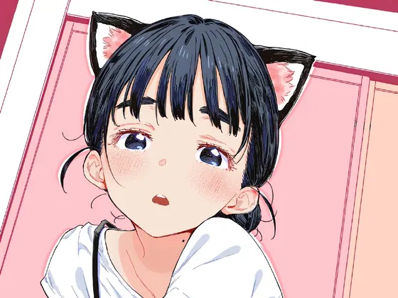 收藏 13